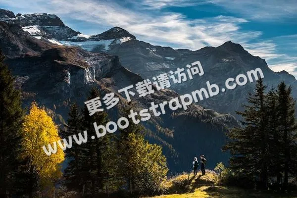 ⊞ Portfolio - 世界杯什么时候开始